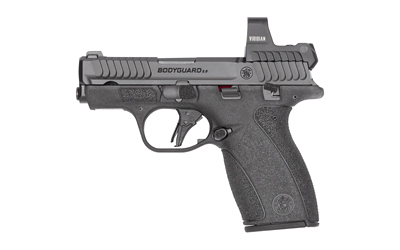 S&W BDYGRD 2.0 RFX1 380ACP 12RD TS