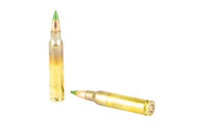 WIN 556 M855 62GR FMJ GRNTIP 20/1000