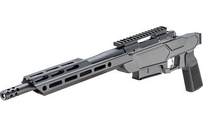 SPGFLD 2020 HTSKR PSTL 308 12″ BLK