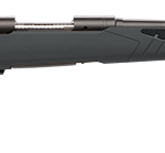 SAVAGE ARMS 110 HUNTER 22-250 BL/SYN 22″ #