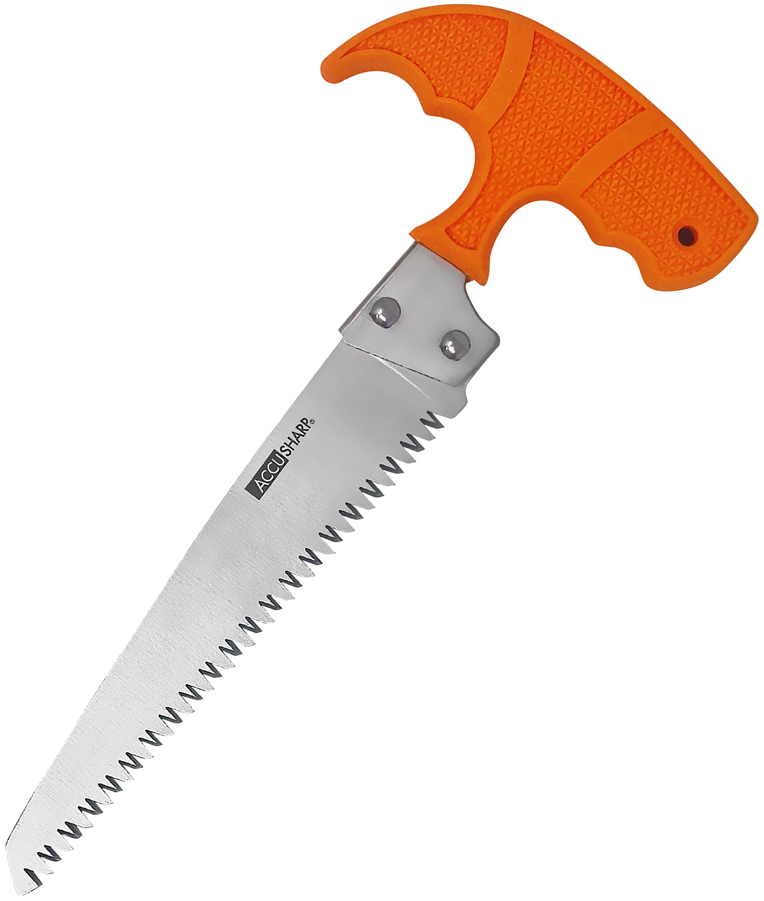 AccuSharp 730C Bone Saw Fixed Saw 6″ Stainless Steel Blade/ Blaze Orange T-Shaped Handle