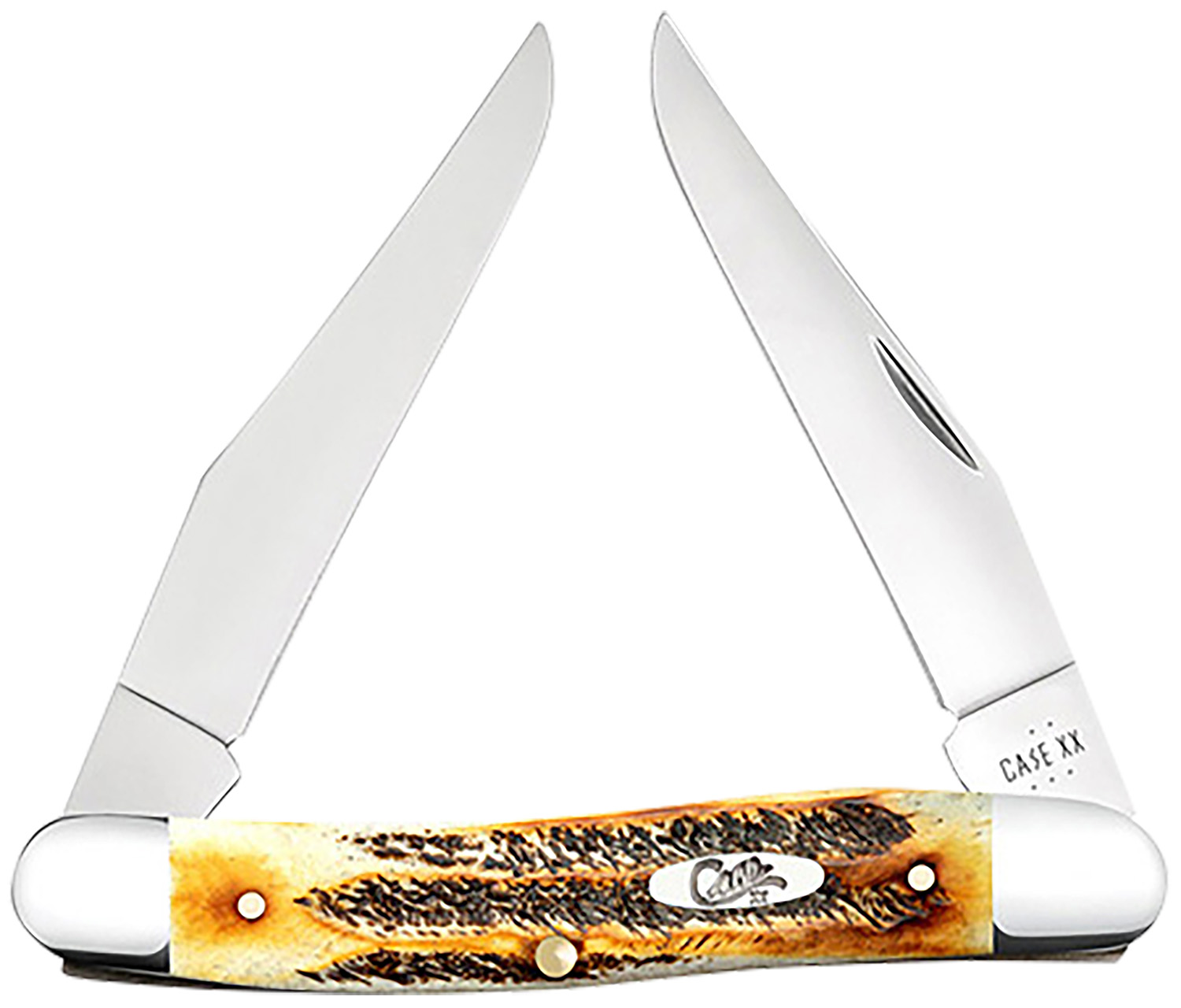 Case 65346 Muskrat 2.90″ Folding Clip Point Plain Polished Tru-Sharp SS Blade, Burnt Dark Amber 6.5 BoneStag Handle