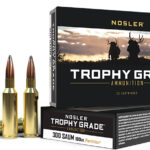 Nosler 60062 Trophy Grade  300RemSAUM 180gr Nosler Spitzer Partition 20 Per Box/10 Case