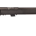 SAVAGE ARMS MARK II BOLT 22LR BL/SYN TARG