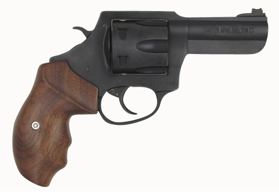 CHARTER ARMS THE PROFESSIONAL 357MAG 4.2″