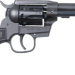 DBF DB SK 22LR|22M 4.5B 9RD