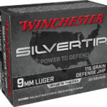 WINCHESTER SILVERTIP 9MM LUGER SILVERTIP HP 20RD (free shipping on orders over 0)